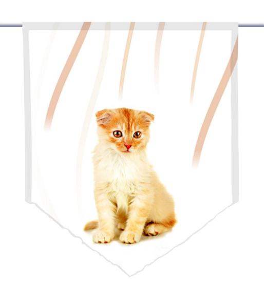 Tiger vertic Katzenbaby, Scheibenhänger spitz